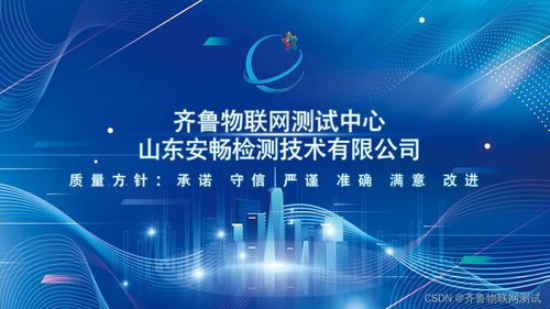 軟件產(chǎn)品登記測(cè)試為何如此重要 數(shù)據(jù)處理服務(wù)的關(guān)鍵保障